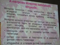 A mérgezések létrejöttéről