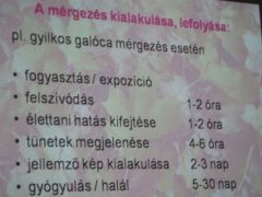 A mérgezések lefolyásáról