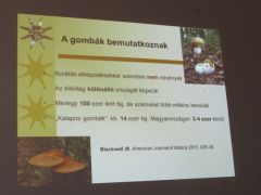 Az adatok kikerülhetetlenek