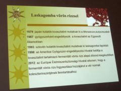 A gyógyszerré válás rögös útjáról