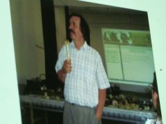 Gombákról, emberekről, Erdélyről...