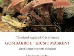 Ilyen meghívót is ritkán csinálnak nekünk!