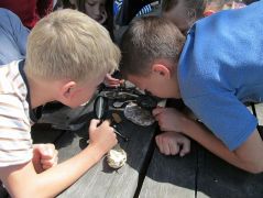 Nagyítóval látszanak a pórusok?!