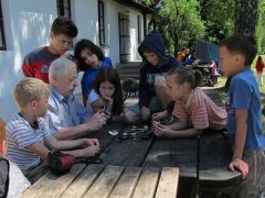 Nézzük meg a metszetét!