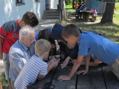 Nagyító alatt a termőréteg csövei