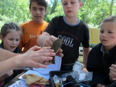 Mi befejeztük - megnézzük a madarászokat