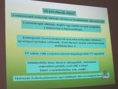 Mi következik ebből?
