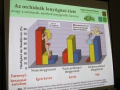 Informatív illat tartalmak