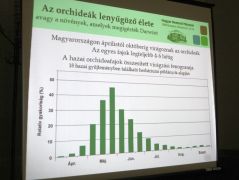A siker titka - jókor kell színre lépni