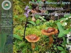 2023.11.13 - Dr. Rimóczi Imre: Orchideáink gombaszomszédai