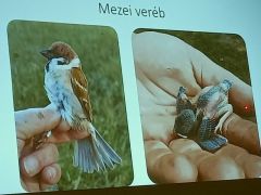 De kár, hogy olyan kevesen vannak már!