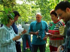 Gombákról, csanyiki fák alatt