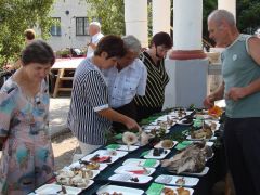 73 fajt mutattunk be