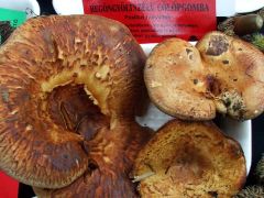 Még mindig volt, aki ehetőnek minősítette!