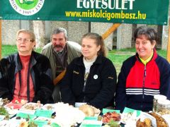 Akik a legtöbbet dolgoztak közülünk