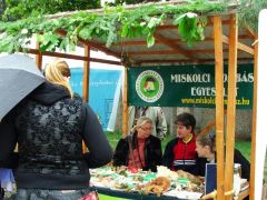 Egy asztalon ennyi faj! Jól mutatott.