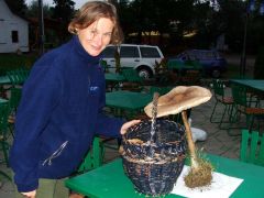 Zsu és az est meglepetése...