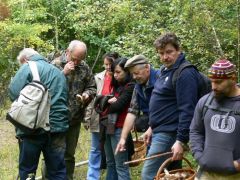 Erdei csoportfoglalkozás...