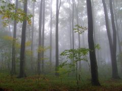 A szombat esőnap volt...