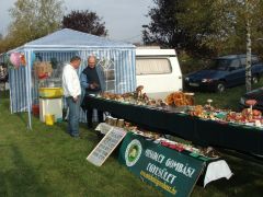 A pecsétviaszgomba sokakat érdekelt