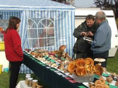 Az édességárus egésznapos vendégünk volt