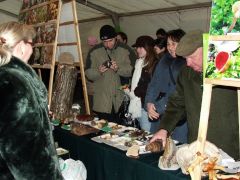 A sátorban tovább pezseg az élet