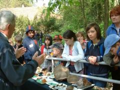 Mit csinál a gyilkos galóca az erdőben?