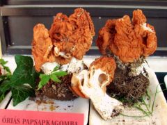 Ezek valóban jó nagyok voltak