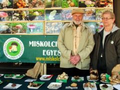 Egy csendesebb időszak...