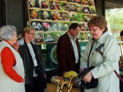 Ügyelőink csoportja