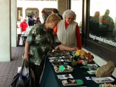 Gévagomba receptek - sokszor el kellett mondani