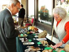 A pisztricgomba tényleg ehető?