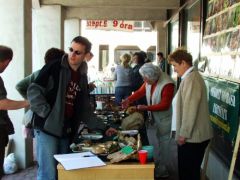 Demeter Zoli is bepillantott hozzánk