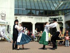 Amíg a mieink ebédelnek...