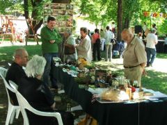 Kis szigetünk a park közepén