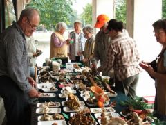 Jól haladunk - itt még azt hittük...