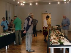 Száraz időjárás, szerény gombafelhozatal