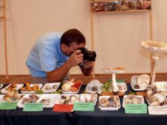 A fotóriporter, az a bizonyos...