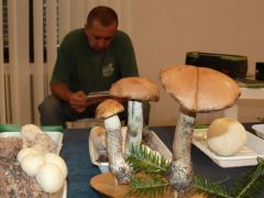 Kecskés Béla barátunk ügyeletet tart