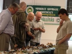 Csatlós Pista nagyon izgul...