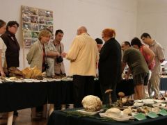 Pelles János a figyelem középpontjában