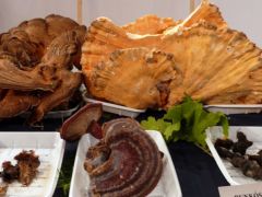 Mégegyszer a nagyméretűek, most felülről...