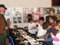 Pár szó és egy kép a gyilkos galócáról...