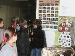 Egy kis móka sosem árt...