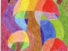 Pál Nikolett 4.b - III.hely