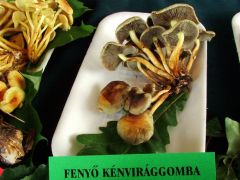 Össze ne tévesszük!