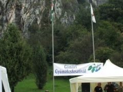 Gyümölcsfesztivál a barlang sziklái előtt