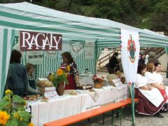 Kedvenc gombászhelyeink falvai...