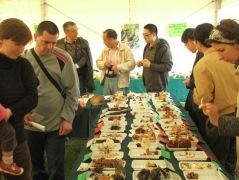 Magyar, szlovák, kínai látogatók