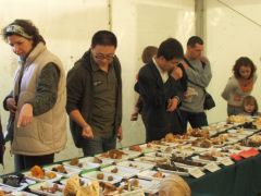 Minden felismerés külön öröm...